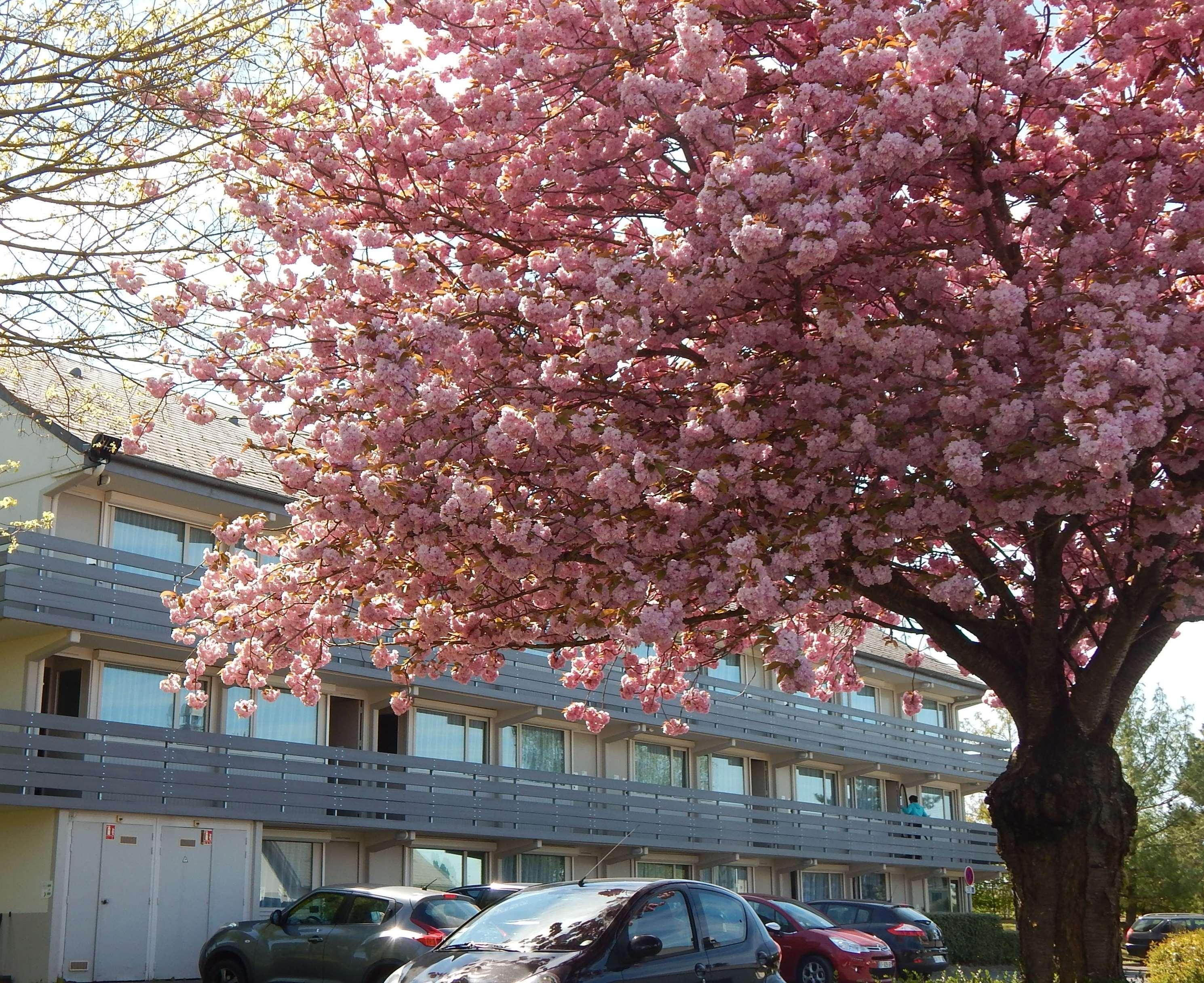 Campanile Reims Est - Taissy Otel Dış mekan fotoğraf